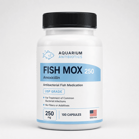 Fish Mox 250mg 100-Capsules