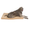 Orthopedic Memory Foam Dog Bed