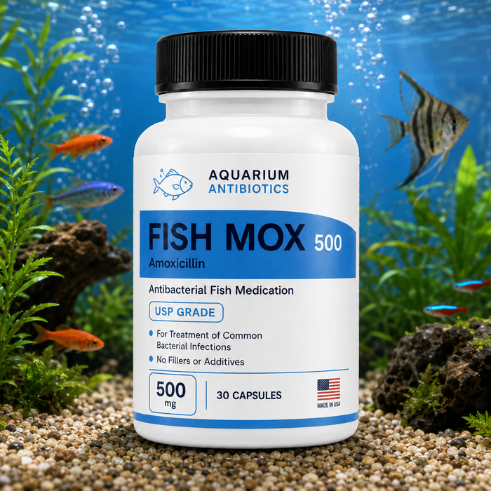 Fish Mox 500mg Capsules